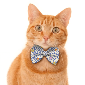 Pawsindia Urban Leaves Pattern Bow Tie
